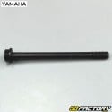 Axe support moteur TZR Yamaha et Xpower MBK