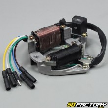 Zündstator Motor 139FMB Horizontaler 50 4T Dax,  City,  Yamasaki,  Kymco, Eurocka ... V1