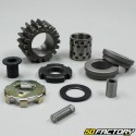 Complete clutch gear kit TNT Motor City,  Skyteam Dax 50 4T