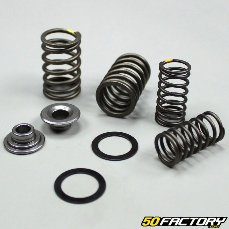 Valve spring (pair) 139FMB horizontal motor 50 4T Dax,  City,  Yamasaki,  Kymco, Eurocka ...