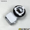 Porte ampoule de clignotant avant TZR 50 Yamaha et XPower Mbk (depuis 2003)