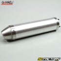 Exhaust silencer Giannelli