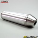 Exhaust silencer Giannelli