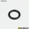 O-ring of revolutions Yamaha TZR, MBK Xpower and Aprilia