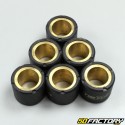 Variomatikrolle
 14g 20x17mm Gilera, Mbk /Yamaha,  Peugeot,  Piaggio,  Vespa ...