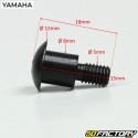 Fork head screw TZR  50  Yamaha and Xpower Mbk (before 2003)