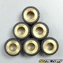 Inverter rollers 9g 20x12 mm Benelli, Italjet, Kymco,  Malaguti and Mbk /Yamaha