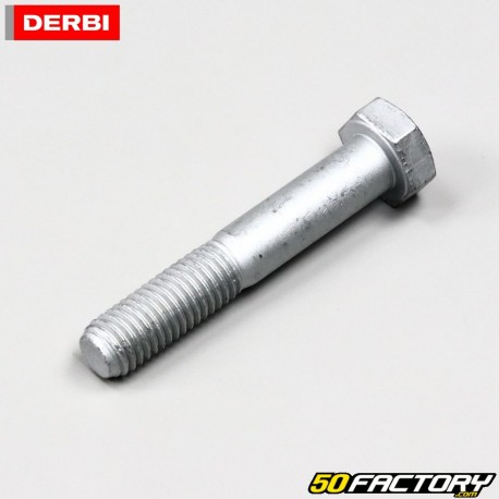 Shock absorber link upper shaft Derbi DRD Racing