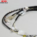 Headlight wiring harness Rieju Rs2