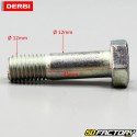 Tornillo amortiguador inferior Derbi Senda,  Gilera Smt, Rcr, Aprilia Sx, Rx