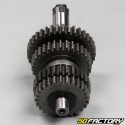 Gearbox 139FMB-B 50 4T Mash Fifty, Masai, Orion ...