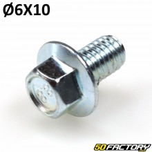 Tornillo de cabeza hexagonal M6x10mm