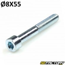 M8x55mm BTR head screw