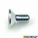 Tornillo BTR cabeza avellanada de XNUMXxXNUMX mm (por unidad)