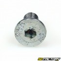 Tornillo BTR cabeza avellanada de 6x12 mm (por unidad)