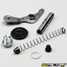 Tensor de la cadena de distribución del motor 139FMB horizontal 50 4T Dax,  City,  Yamasaki,  Kymco, Eurocka ...