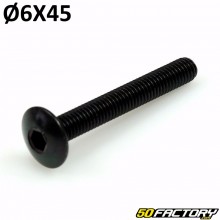 Parafuso de cabeça BTR abaulada 6x45 mm (por unidade)