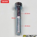 Front brake caliper bolt Derbi GPR  et  Aprilia  RS