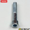 Front brake caliper bolt Derbi GPR  et  Aprilia  RS