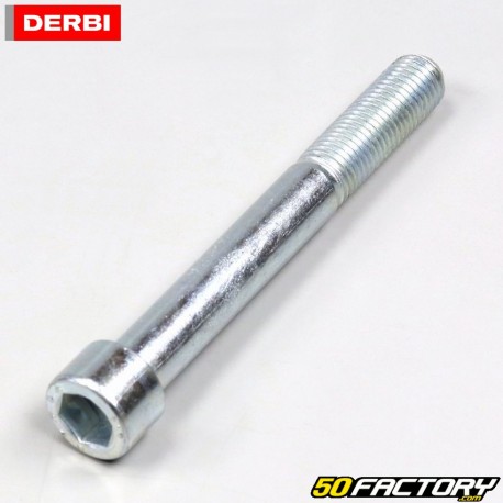 Albero di supporto motore posteriore Derbi GPR e Nude 2004-2010