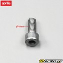 Parafuso de fixação do tanque M4X10 Aprilia RS Braço único 50 (1993 para 1998)