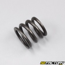 Fork dip tube spring Rieju RS2, MRT