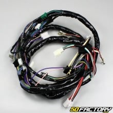 Arnés de cableado MBK Booster,  Yamaha Bws (Desde 2004)