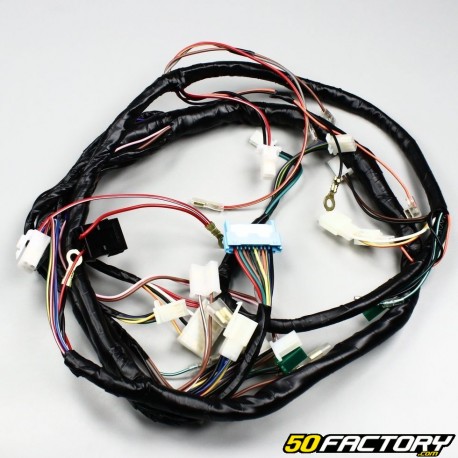 Arnés de cableado MBK Nitro,  Yamaha Aerox (2002 - 2004)