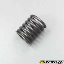 Resorte del tubo del émbolo para Honda NSR 125 de 1989 a 1993