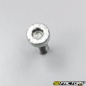 Vis de tube plongeur de fourche Honda NSR et MTX R 125