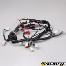 Revatto electrical harness Roadster 125 (2008 - 2011)