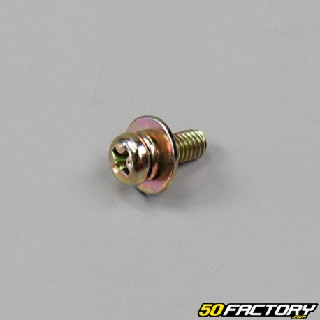 Vite cruciforme 4x10mm con rondella (per unità)