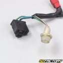 125 - 2004 SYM Wolf Headlight Wiring