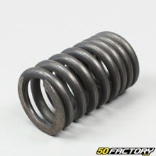 Fork tube spring Roxon Duel 50 SM and 50 TT and XP6