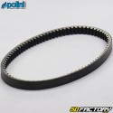 Belt Peugeot Kisbee, Ludix, TKR... 50 2 17.5x768 mm Polini