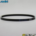 Belt Peugeot Kisbee, Ludix, TKR... 50 2 17.5x768 mm Polini