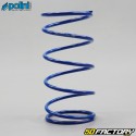 22Kg Minarelli Clutch Push Spring Kit verticale e orizzontale Mbk Booster,  Nitro... Polini &quot;Evo Slider&quot;