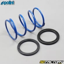 26Kg clutch thrust spring kit Piaggio air and liquid Typhoon, Nrg ... Polini &quot;Evo Slider&quot;