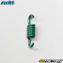 Clutch spring kit Piaggio air and liquid Typhoon, Nrg ... Polini