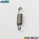 Clutch spring kit Piaggio air and liquid Typhoon, Nrg ... Polini