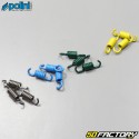 Kit ressorts d'embrayage Piaggio air et liquide Typhoon, Nrg... Polini