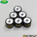 Inverter rollers 3,8g 15x12mm Minarelli vertical and horizontal Mbk Booster,  Nitro... Top Perf