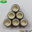 Inverter rollers 6g 16x13mm Piaggio,  Peugeot,  Kymco... Top Perf