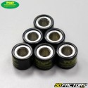 Inverter rollers 8g 16x13mm Piaggio,  Peugeot,  Kymco... Top Perf