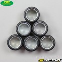 Inverter rollers 4,6g 16x13mm Piaggio,  Peugeot,  Kymco... Top Perf