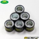 Rolos de inversor 5g 16x13mm Piaggio,  Peugeot,  Kymco... Top Perf