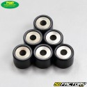 Inverter rollers 9,5g 16x13mm Piaggio,  Peugeot,  Kymco... Top Perf