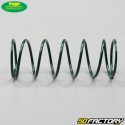 Minarelli Vertical and Horizontal Clutch Push Spring Kit Mbk Booster,  Nitro... Top Perf