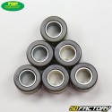 Inverter rollers 8g 19x15,5mm Piaggio,  Gilera,  Aprilia... Top Perf