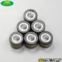 Inverter rollers 5,3g 19x15,5mm Piaggio Zip,  Gilera Stalker... Top Performances